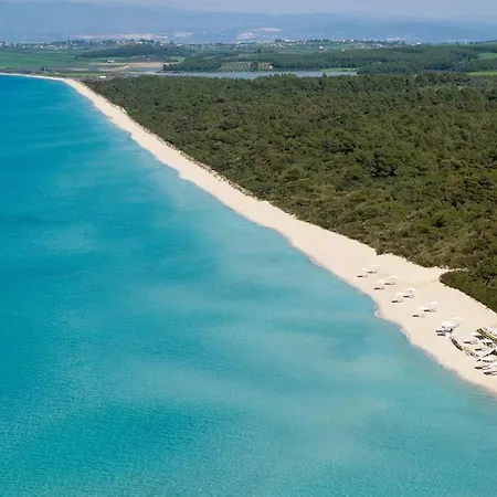 Erato - Your Dream Getaway In Sani Seaside *